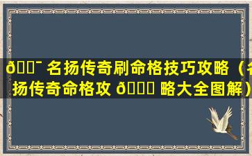 🐯 名扬传奇刷命格技巧攻略（名扬传奇命格攻 🐈 略大全图解）